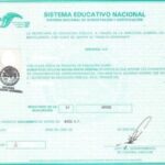 ¿Cómo obtener el certificado de preparatoria de forma rápida y eficiente?